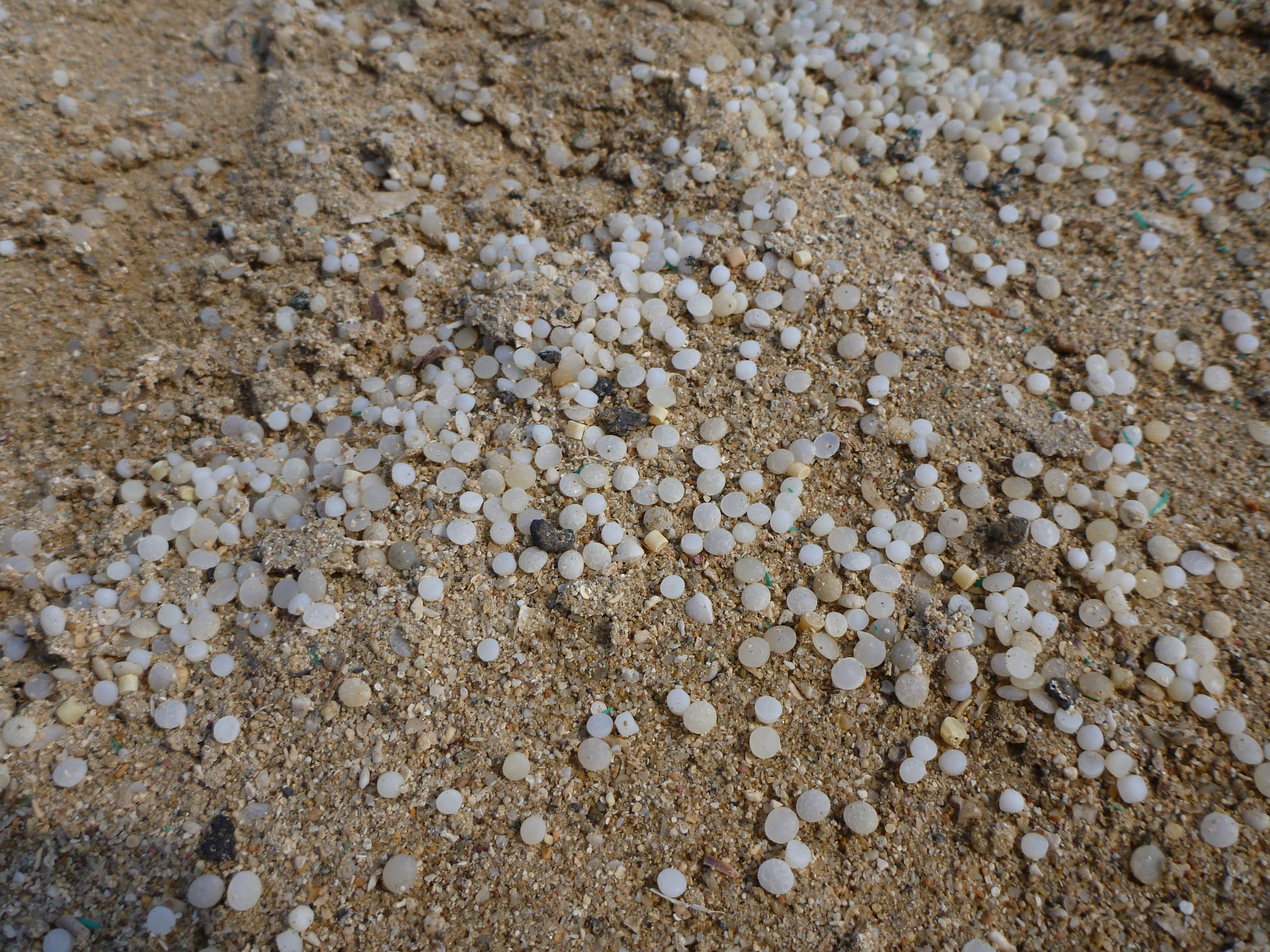 Plastic_pellets_from_ship_wreck_at_beach_near_Abu_Ghusun